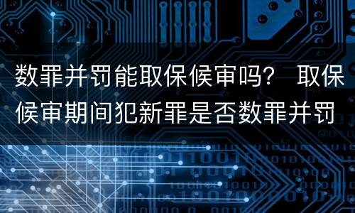 数罪并罚能取保候审吗？ 取保候审期间犯新罪是否数罪并罚