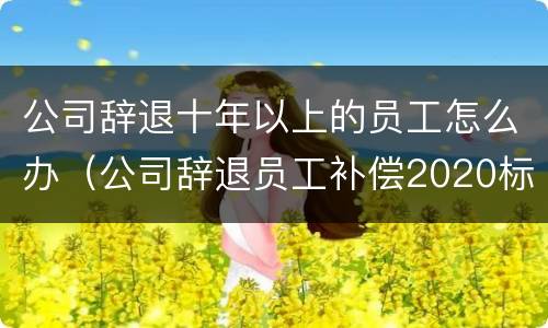 公司辞退十年以上的员工怎么办（公司辞退员工补偿2020标准年满十年滴如何赔偿）