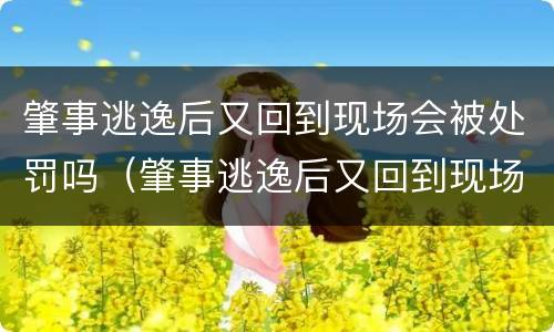 肇事逃逸后又回到现场会被处罚吗（肇事逃逸后又回到现场会被处罚吗）