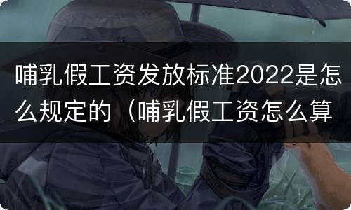 哺乳假工资发放标准2022是怎么规定的（哺乳假工资怎么算2019）