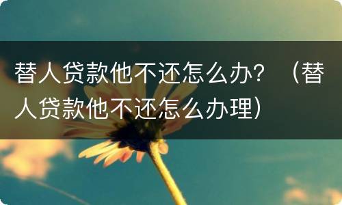 替人贷款他不还怎么办？（替人贷款他不还怎么办理）