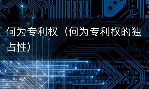 何为专利权（何为专利权的独占性）