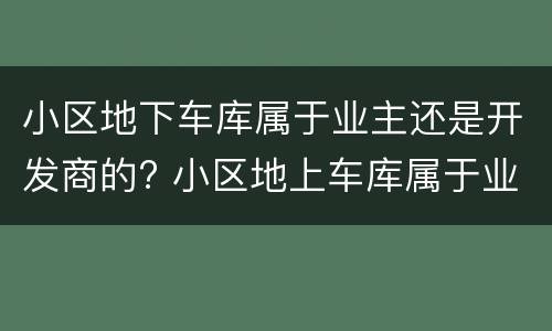 小区地下车库属于业主还是开发商的? 小区地上车库属于业主还是开发商