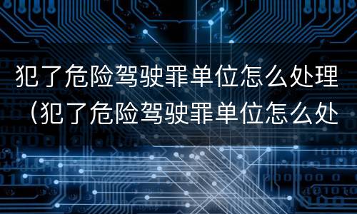 犯了危险驾驶罪单位怎么处理（犯了危险驾驶罪单位怎么处理呢）