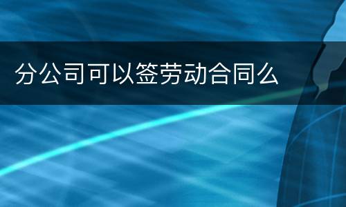 分公司可以签劳动合同么