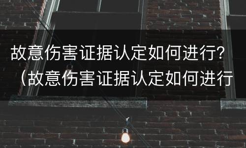 故意伤害证据认定如何进行？（故意伤害证据认定如何进行赔偿）