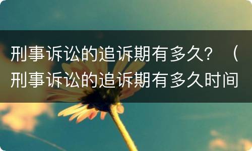 刑事诉讼的追诉期有多久？（刑事诉讼的追诉期有多久时间）