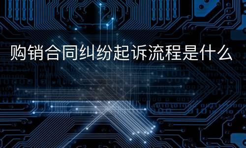 购销合同纠纷起诉流程是什么