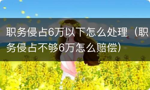 职务侵占6万以下怎么处理（职务侵占不够6万怎么赔偿）