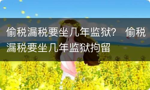 偷税漏税要坐几年监狱？ 偷税漏税要坐几年监狱拘留