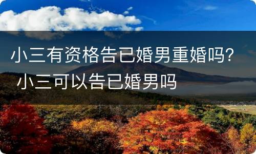 小三有资格告已婚男重婚吗？ 小三可以告已婚男吗