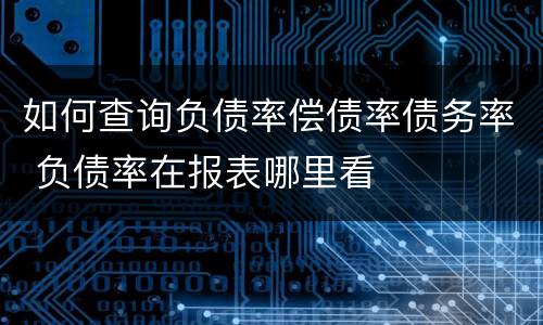 如何查询负债率偿债率债务率 负债率在报表哪里看