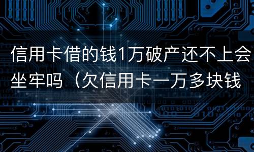信用卡借的钱1万破产还不上会坐牢吗（欠信用卡一万多块钱还不起会坐牢吗）