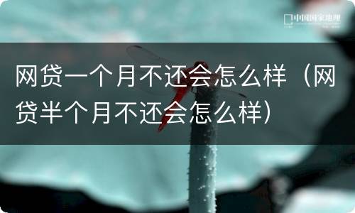 网贷一个月不还会怎么样（网贷半个月不还会怎么样）