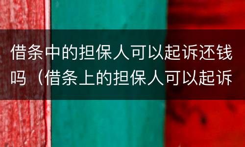 借条中的担保人可以起诉还钱吗（借条上的担保人可以起诉吗）