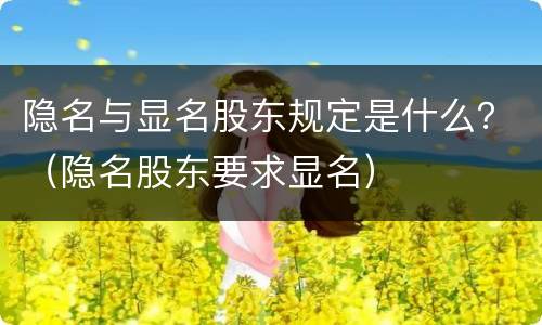 隐名与显名股东规定是什么？（隐名股东要求显名）