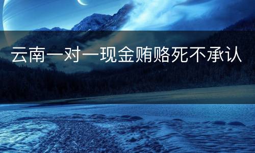 云南一对一现金贿赂死不承认