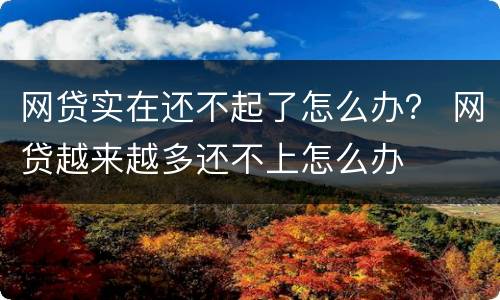 网贷实在还不起了怎么办？ 网贷越来越多还不上怎么办