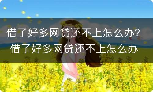 借了好多网贷还不上怎么办？ 借了好多网贷还不上怎么办
