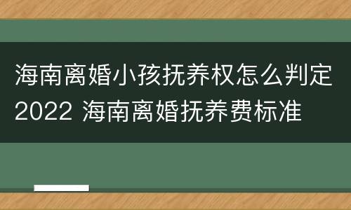 海南离婚小孩抚养权怎么判定2022 海南离婚抚养费标准
