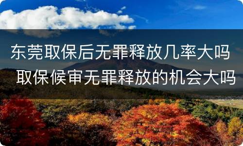 东莞取保后无罪释放几率大吗 取保候审无罪释放的机会大吗