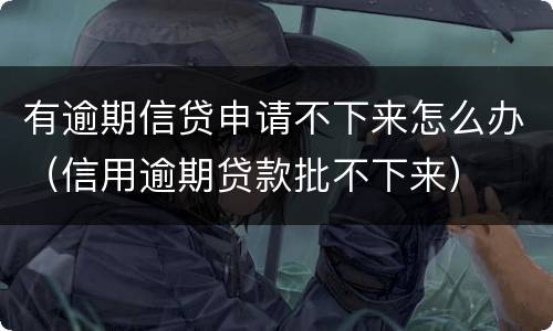 有逾期信贷申请不下来怎么办（信用逾期贷款批不下来）