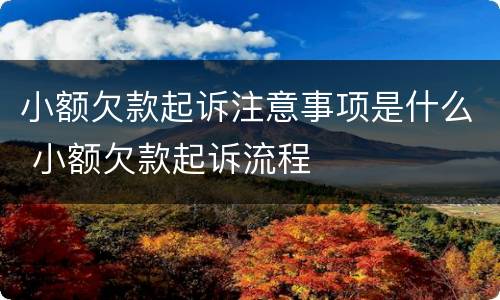 小额欠款起诉注意事项是什么 小额欠款起诉流程