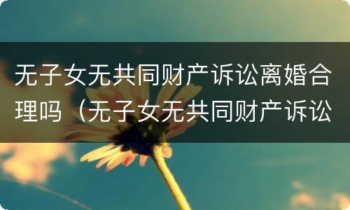 无子女无共同财产诉讼离婚合理吗（无子女无共同财产诉讼离婚合理吗怎么判）
