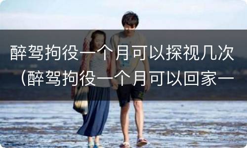 醉驾拘役一个月可以探视几次（醉驾拘役一个月可以回家一天吗）