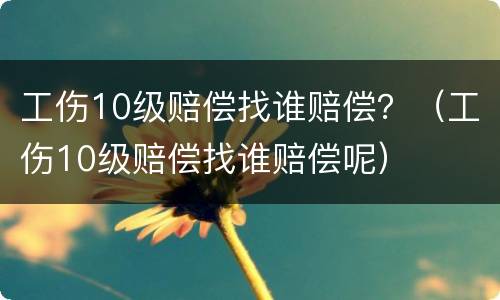 工伤10级赔偿找谁赔偿？（工伤10级赔偿找谁赔偿呢）