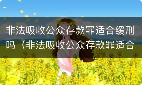 非法吸收公众存款罪适合缓刑吗（非法吸收公众存款罪适合缓刑吗）