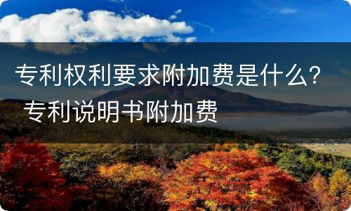 专利权利要求附加费是什么？ 专利说明书附加费