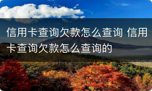 信用卡查询欠款怎么查询 信用卡查询欠款怎么查询的