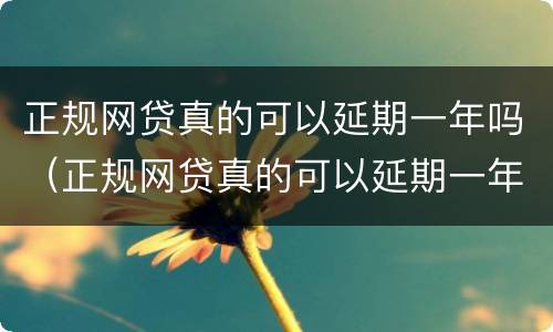 正规网贷真的可以延期一年吗（正规网贷真的可以延期一年吗知乎）