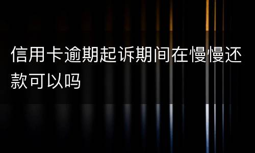 信用卡逾期起诉期间在慢慢还款可以吗