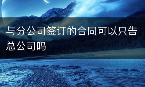 与分公司签订的合同可以只告总公司吗