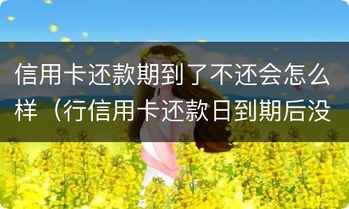 信用卡还款期到了不还会怎么样（行信用卡还款日到期后没还上）