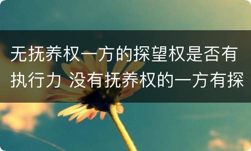 无抚养权一方的探望权是否有执行力 没有抚养权的一方有探视权吗