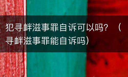 犯寻衅滋事罪自诉可以吗？（寻衅滋事罪能自诉吗）