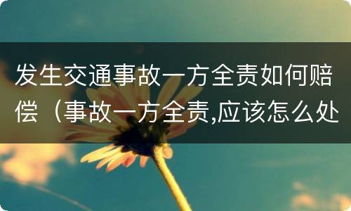 发生交通事故一方全责如何赔偿（事故一方全责,应该怎么处理）