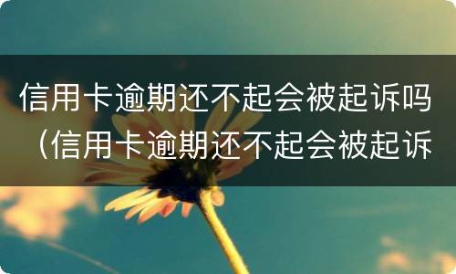 信用卡逾期还不起会被起诉吗（信用卡逾期还不起会被起诉吗?）