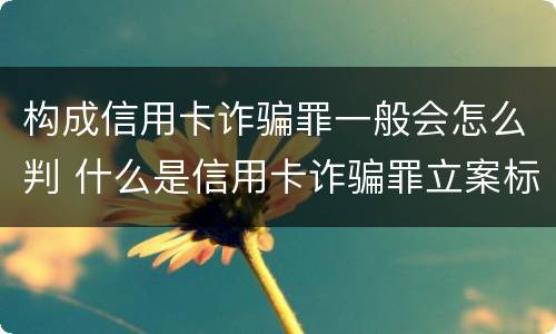 构成信用卡诈骗罪一般会怎么判 什么是信用卡诈骗罪立案标准