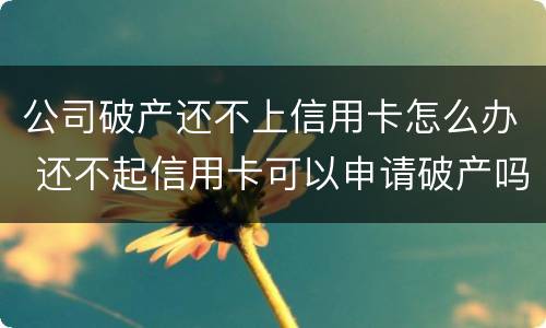 公司破产还不上信用卡怎么办 还不起信用卡可以申请破产吗