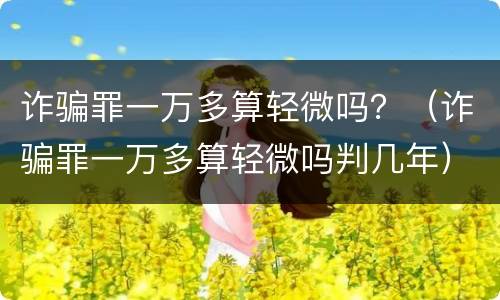 诈骗罪一万多算轻微吗？（诈骗罪一万多算轻微吗判几年）