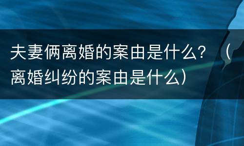 夫妻俩离婚的案由是什么？（离婚纠纷的案由是什么）