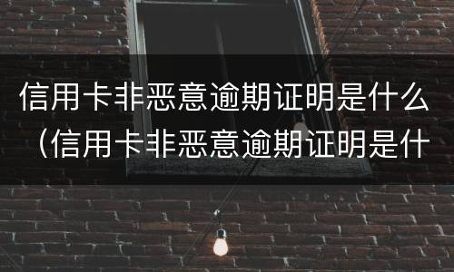 信用卡非恶意逾期证明是什么（信用卡非恶意逾期证明是什么样子的）