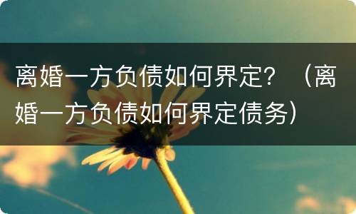 离婚一方负债如何界定？（离婚一方负债如何界定债务）