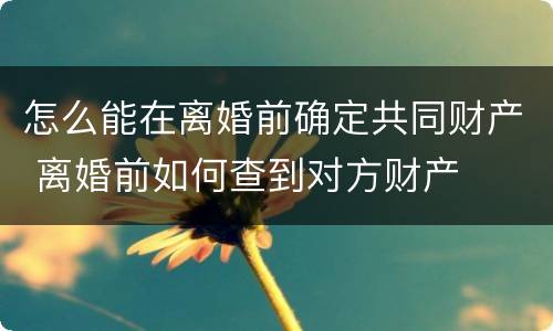 怎么能在离婚前确定共同财产 离婚前如何查到对方财产