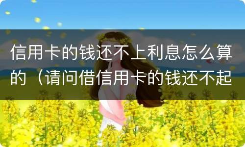 信用卡的钱还不上利息怎么算的（请问借信用卡的钱还不起怎么办?）
