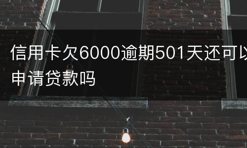 信用卡欠6000逾期501天还可以申请贷款吗